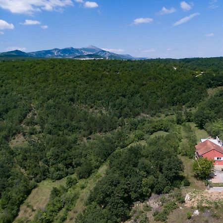 Forest House Silva Hrvace Bagian luar foto